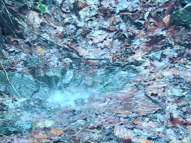 Video von Susann Hoch